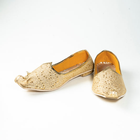 Embroidered Traditional Nagra Shoes for Men | CD-WRS2