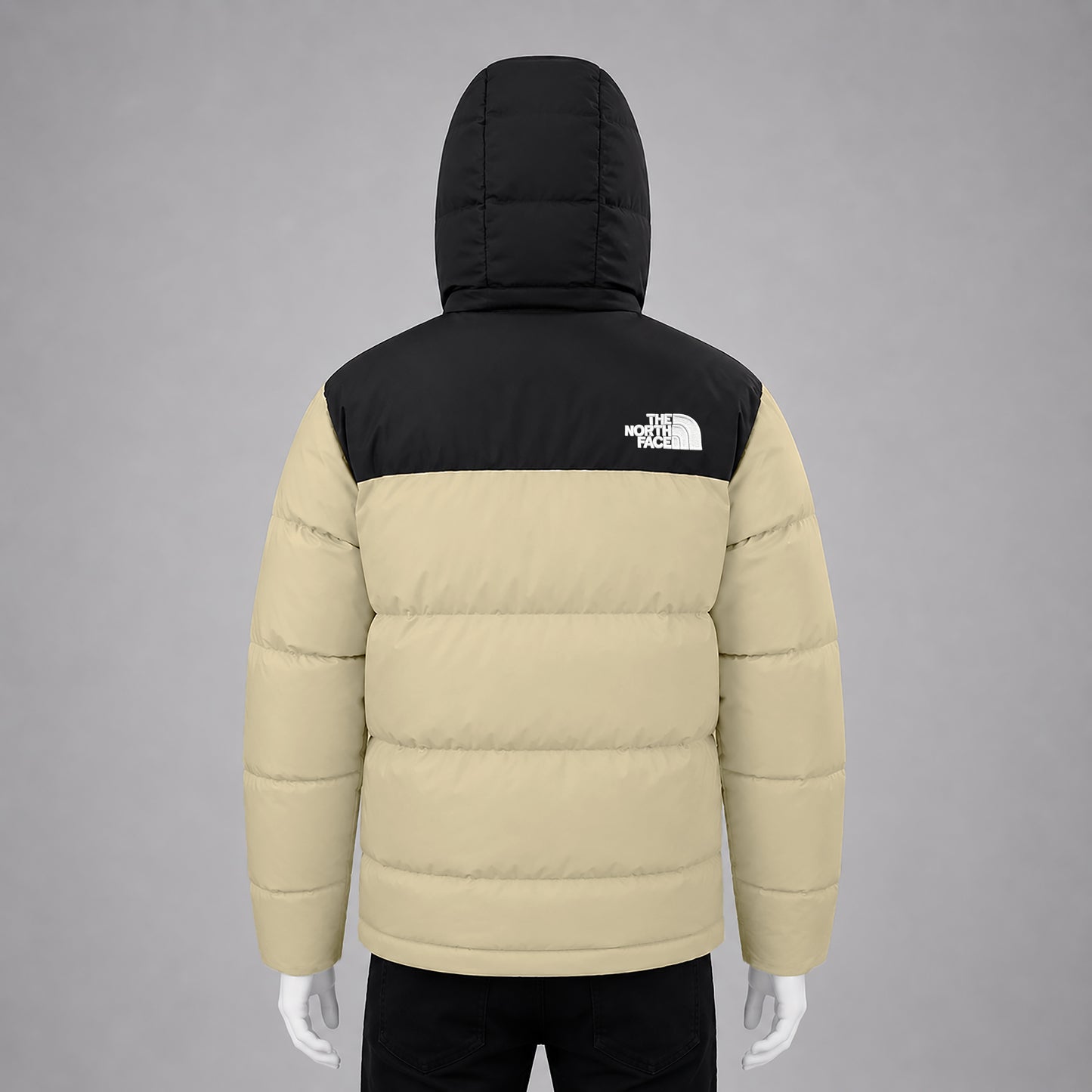 Men's Premium Hooded Puffer Jacket | Winter Warm Padding Coat | Code-WNT3