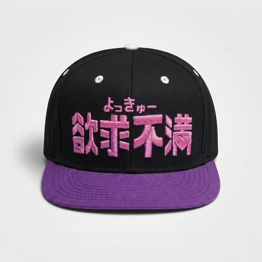 Trendy Embroidered Street Fashion Snapback Cap | CD-MH4