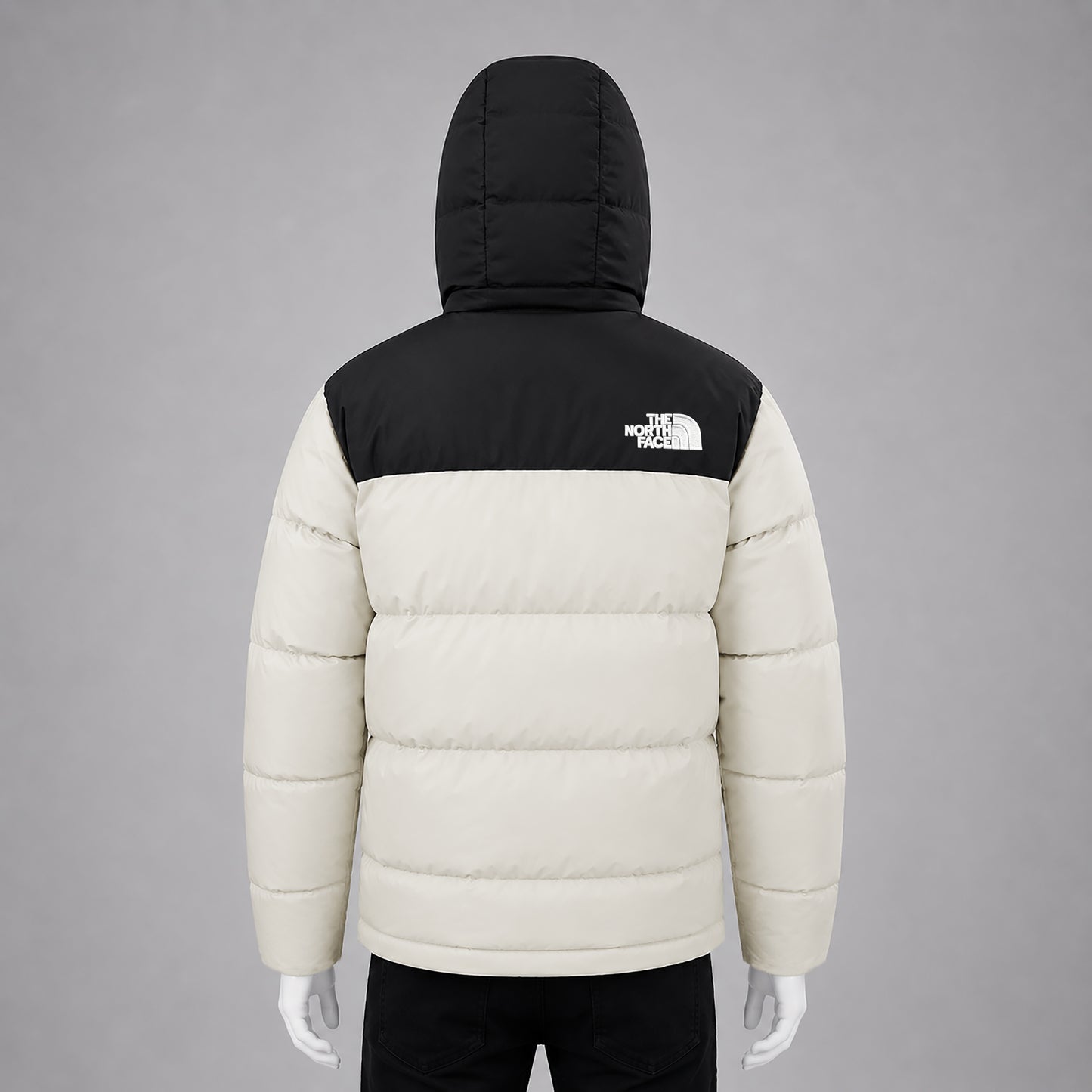 Men's Premium Hooded Puffer Jacket | Winter Warm Padding Coat | Code-WNT3