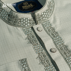 Elegant Embroidered Classic Panjabi| CD-PG37