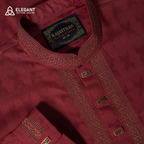Royal Embroidered Premium Panjabi | CD-PG54