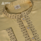 Refined Heritage Embroidered Panjabi | CD-PG79
