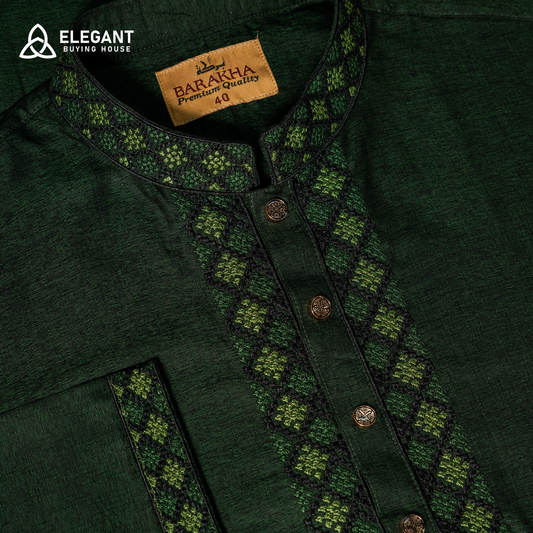 Elegant Heritage Embroidered Panjabi | CD-PG84