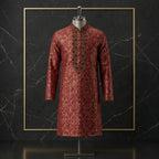 Ornate Embroidered Festive Panjabi | CD-PG168