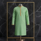 Elegant Embroidered Festive Panjabi for Men| CD-PG173