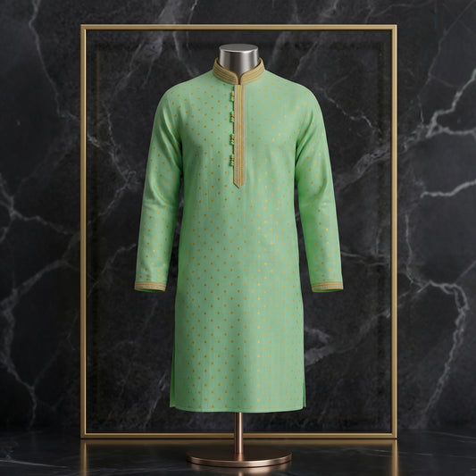 Elegant Embroidered Festive Panjabi for Men| CD-PG173