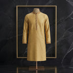 Elegant Embroidered Festive Panjabi for Men| CD-PG174